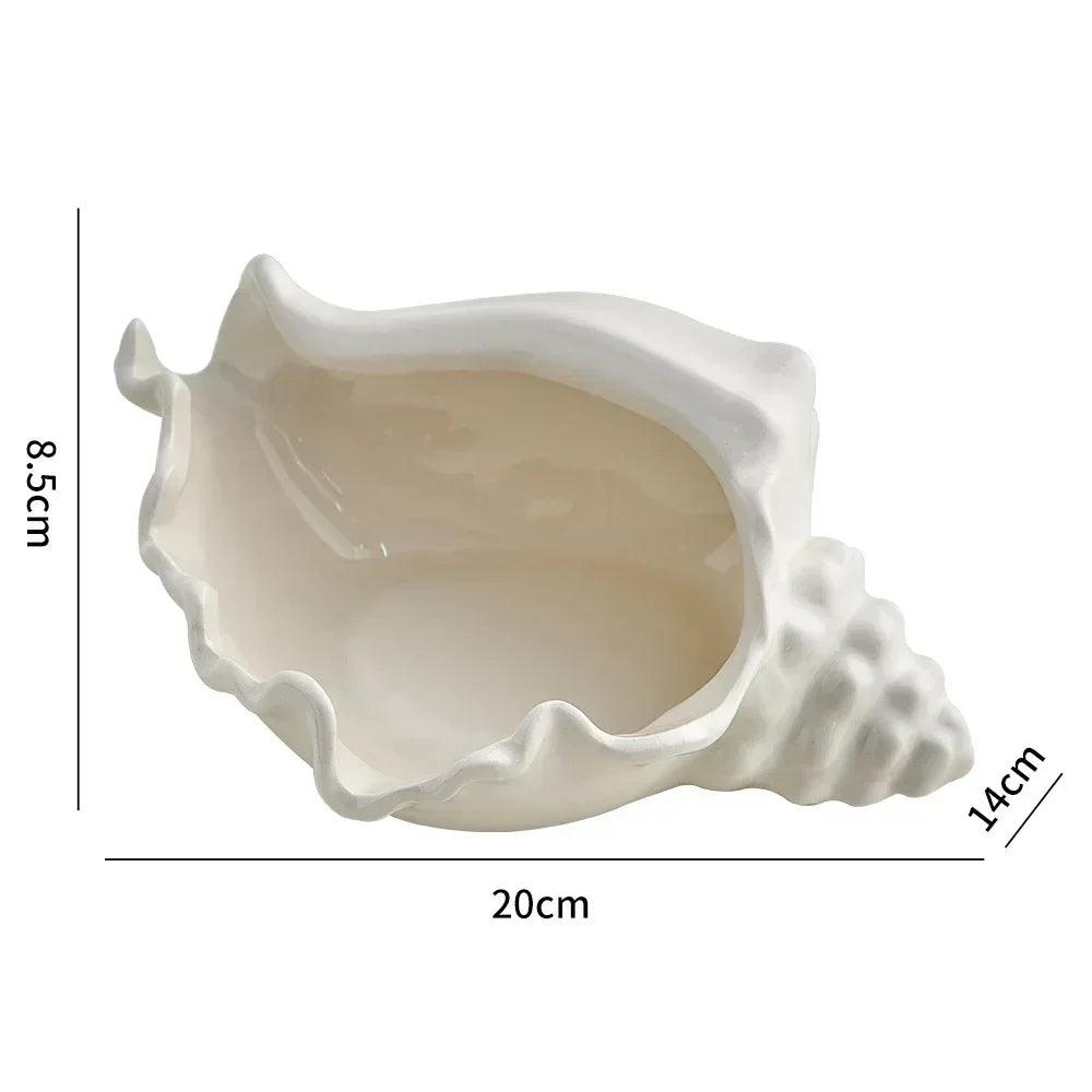 The Conch Catchall